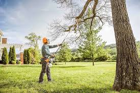 Best Lawn Pest Prevention  in Raymondville, TX